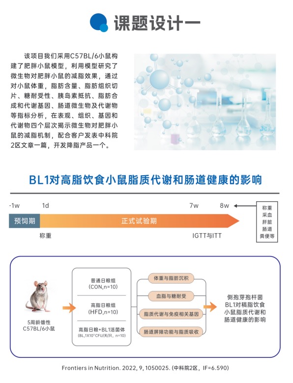 整体课题设计