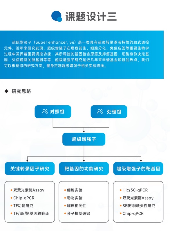 整体课题设计