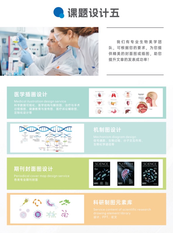 整体课题设计