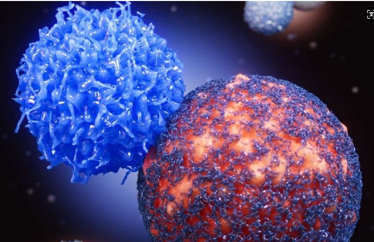 Nature Immunology最新研究揭示：为何部分实体瘤患者对免疫检查点抑制剂无效，并提出新组合疗法