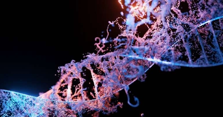 意大利科学家发现基因编辑或诱发血液干细胞“早衰”，新策略有望提高疗效与安全性