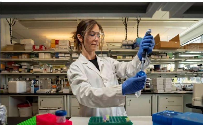 肠道微生物或揭示睡眠之谜：华盛顿州立大学新研究发现细菌与睡眠密切相关