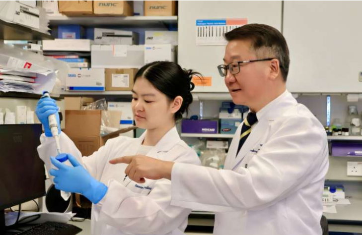 香港大学研究揭示：橄榄油中的健康脂肪可增强免疫系统抗癌能力